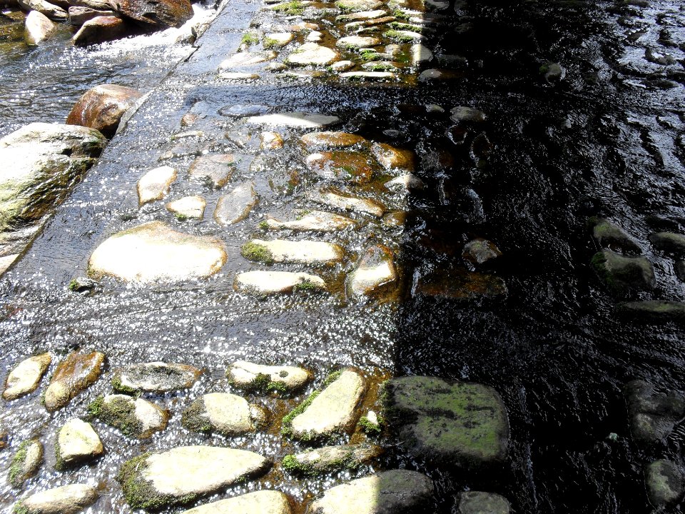 Hradlový most (Šumava) 63