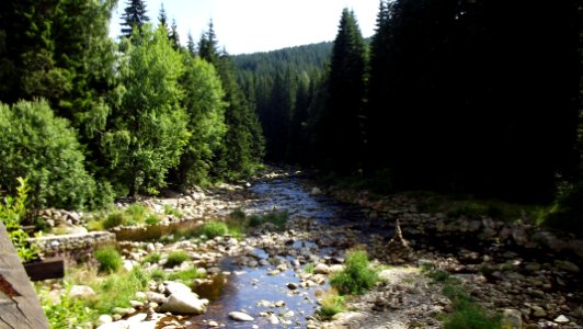 Hradlový most - řečiště napravo s kameny
