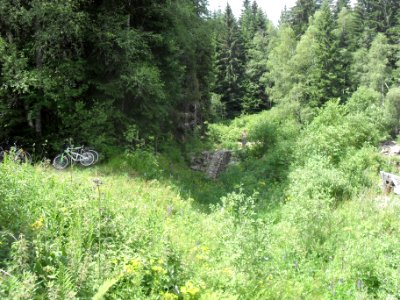 Hradlový most (Šumava) 80