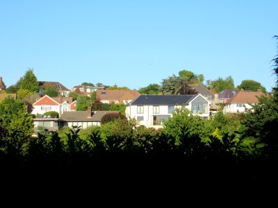 Housing in Goldstone Valley, Hove (seen from Three Cornered Copse) (August 2016)
