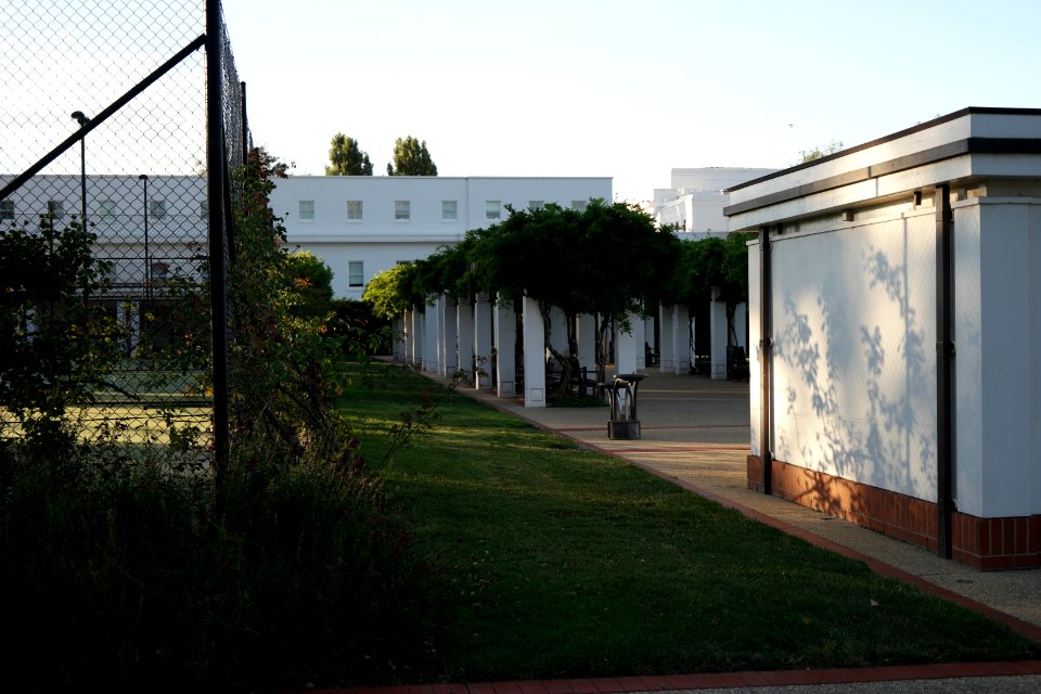 House of Representatives Garden, Parliament House Gardens 026