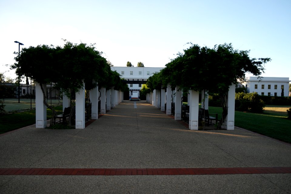 House of Representatives Garden, Parliament House Gardens 018