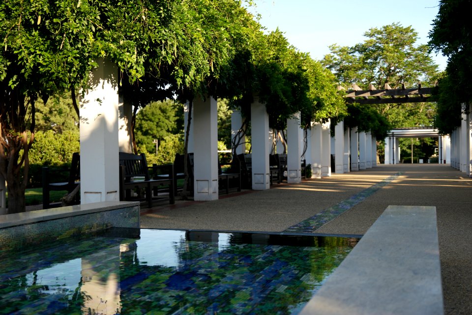 House of Representatives Garden, Parliament House Gardens 010