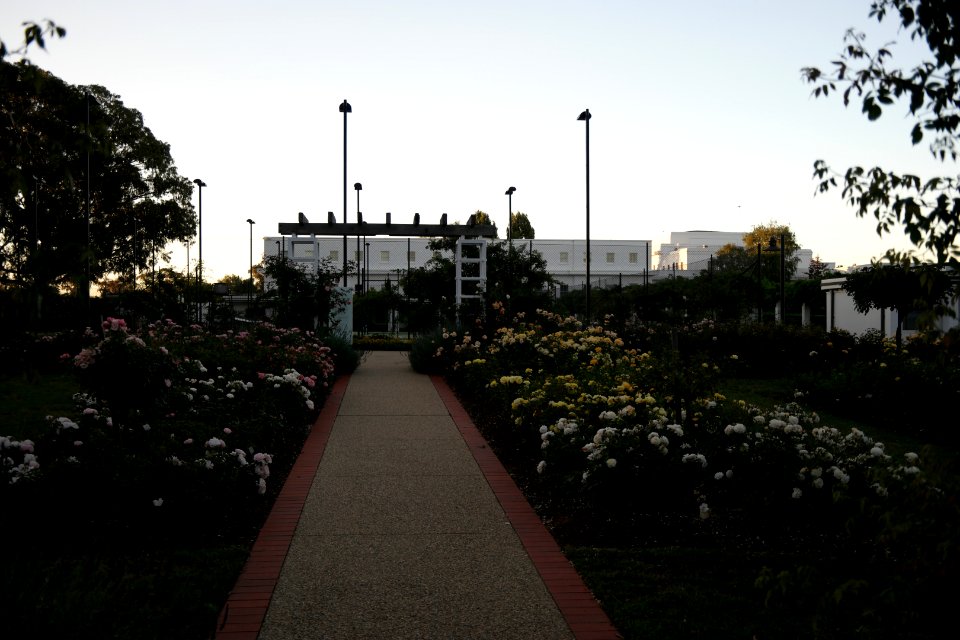 House of Representatives Garden, Parliament House Gardens 035