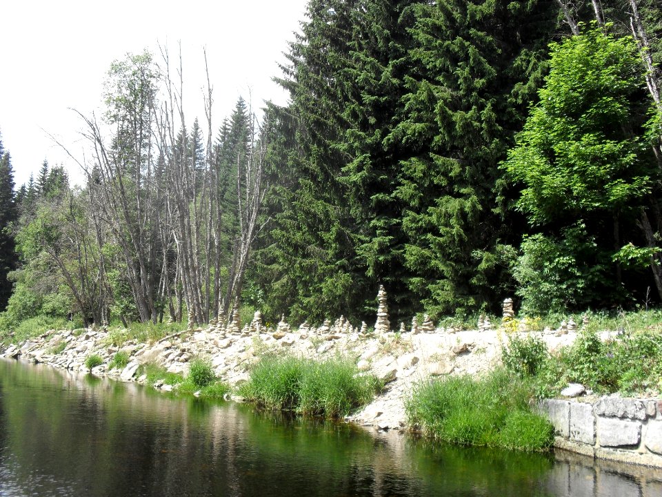 Hradlový most (Šumava) 67