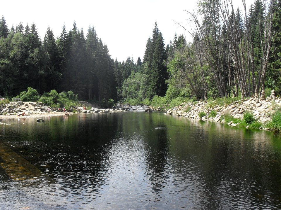 Hradlový most (Šumava) 64