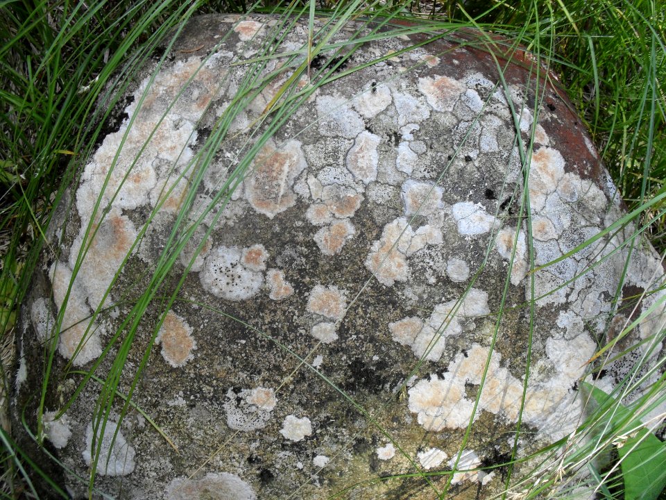 Hradlový most (Šumava) 73