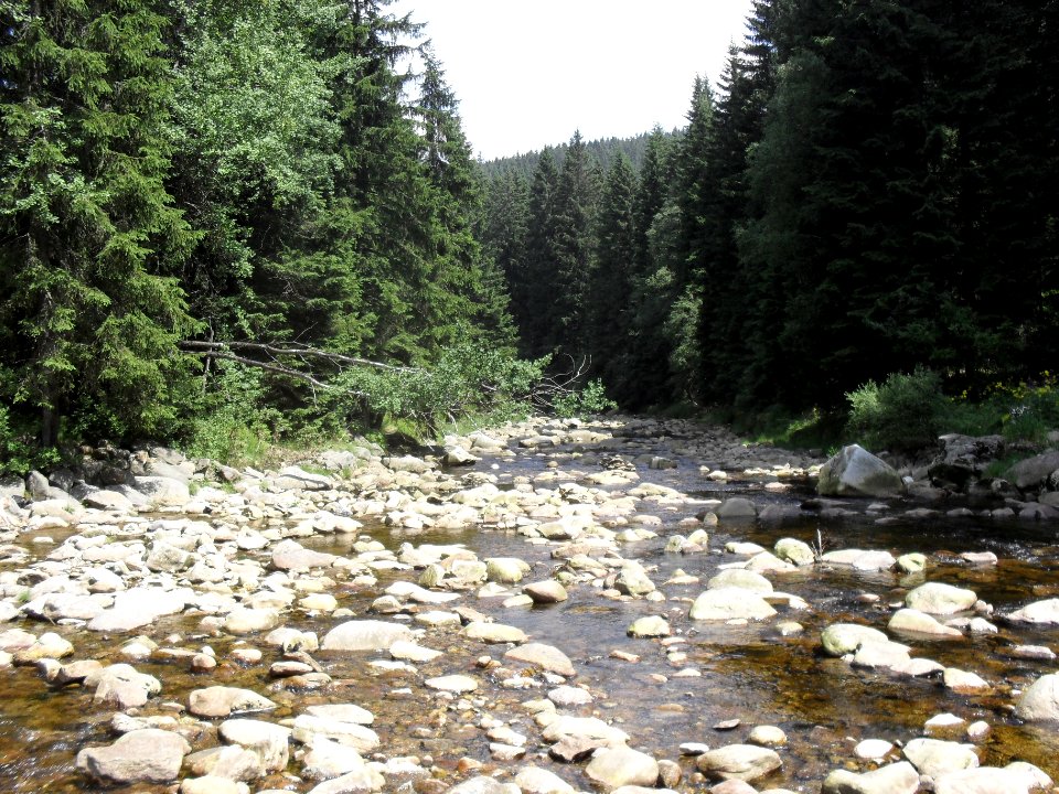 Hradlový most (Šumava) 71