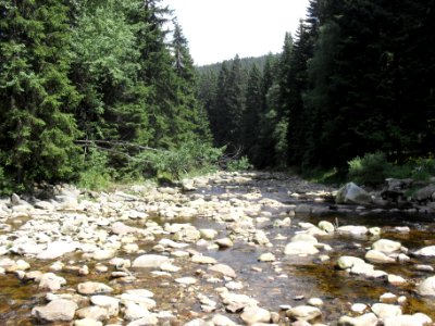 Hradlový most (Šumava) 71