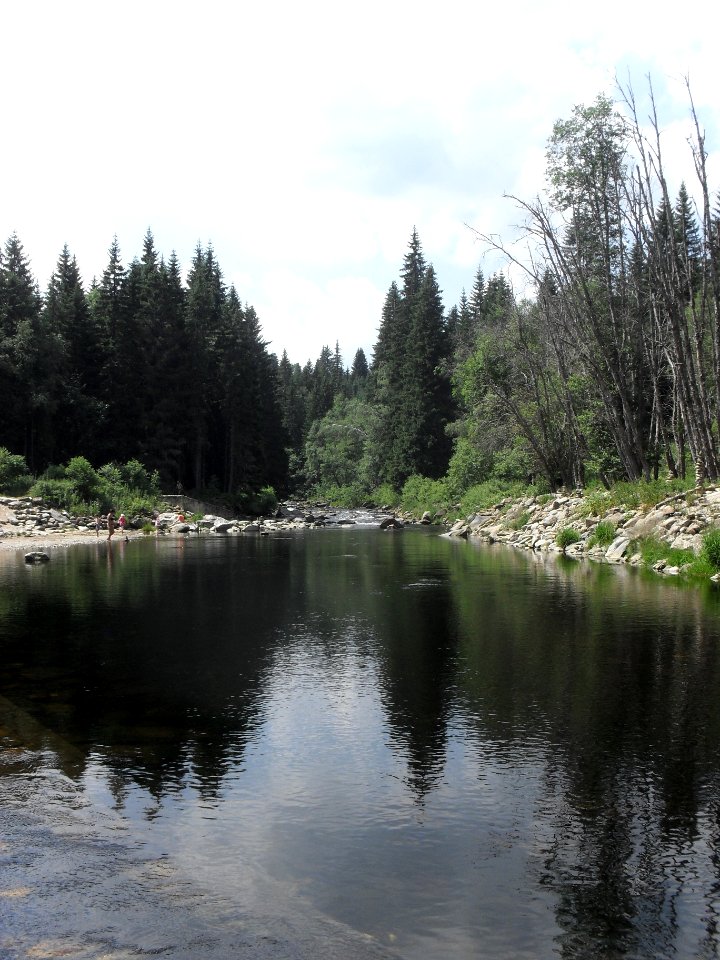 Hradlový most (Šumava) 68