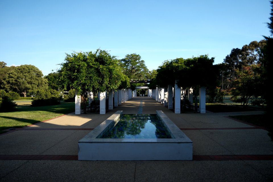 House of Representatives Garden, Parliament House Gardens 008