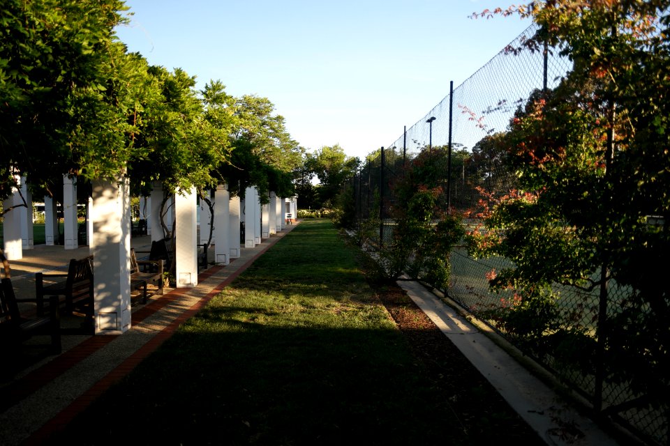 House of Representatives Garden, Parliament House Gardens 015