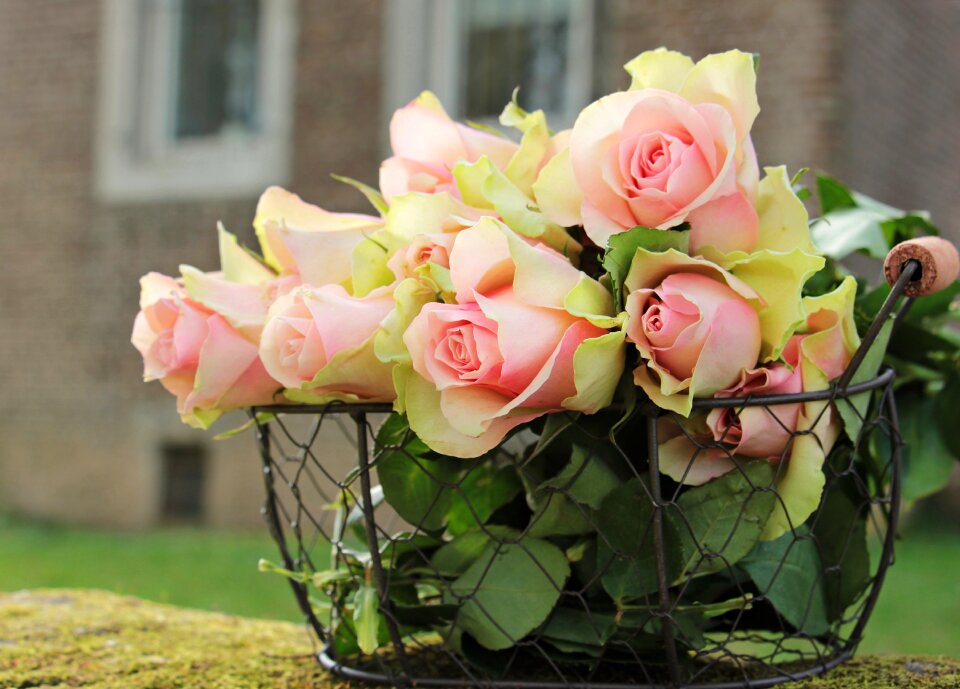 Wire basket flowers pink