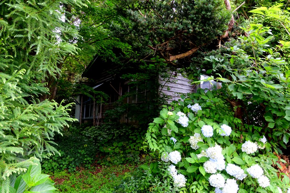 House in the wilds - Mutsu, Aomori - DSC00162