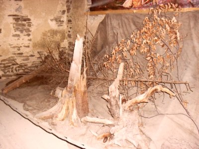 Hrad Kasperk - vychodni vez 44