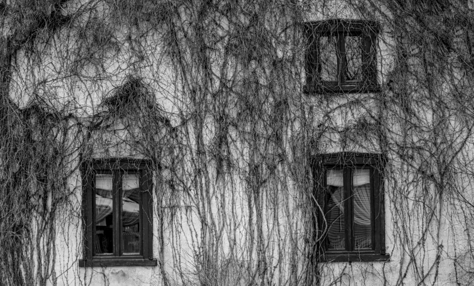 House in the Parc de la Chute-Montmorency 009