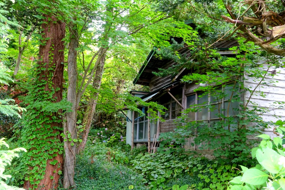 House in the wilds - Mutsu, Aomori - DSC00164