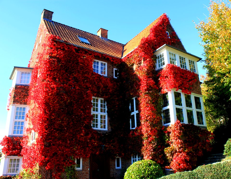 House in Kolding.Denmark.2013.a
