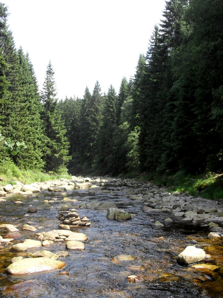 Hradlový most (Šumava) 43