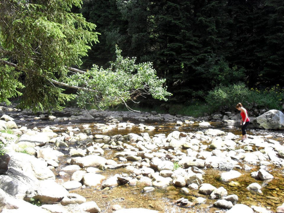 Hradlový most (Šumava) 36