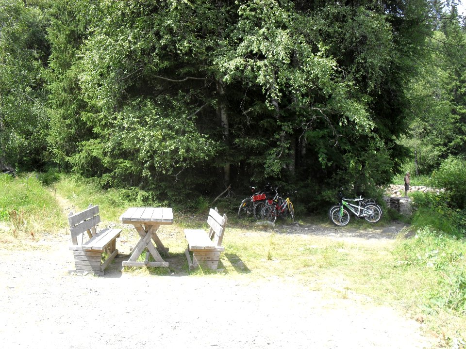 Hradlový most (Šumava) 82