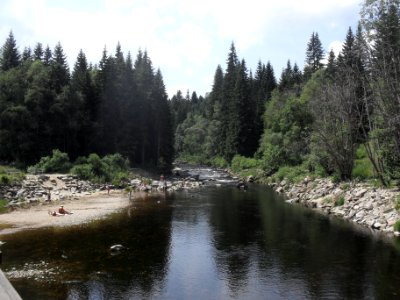 Hradlový most (Šumava) 77