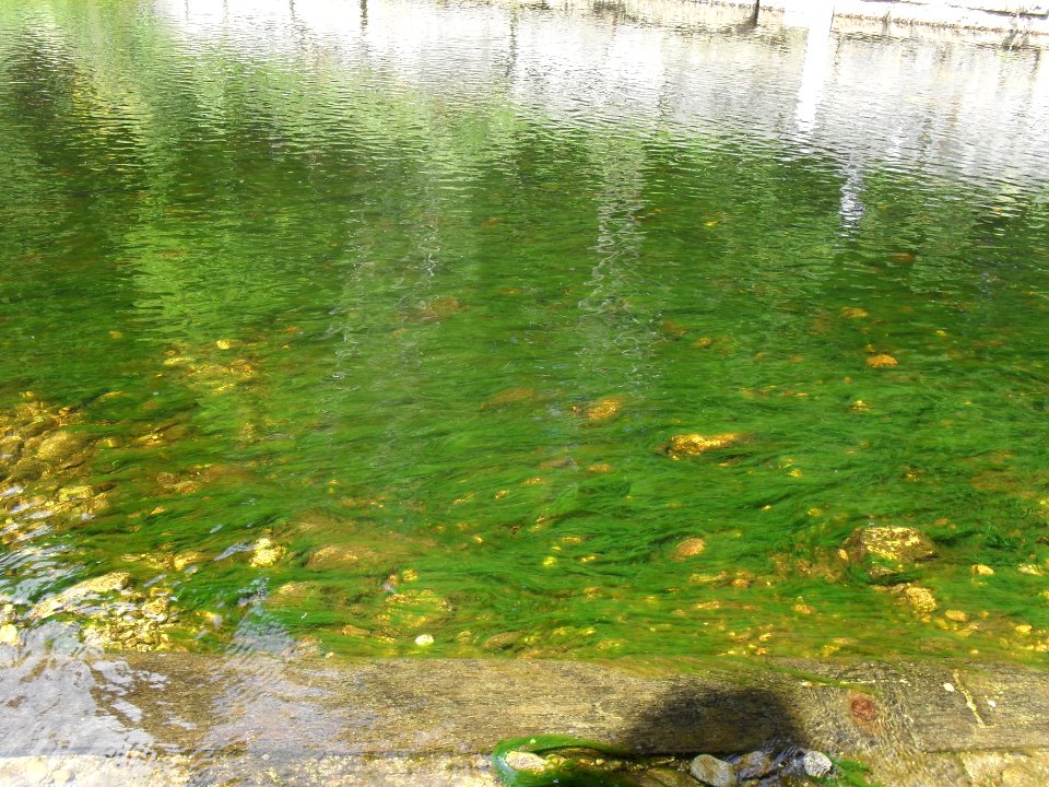 Hradlový most (Šumava) 66
