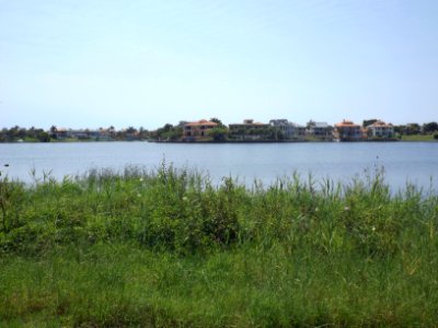 Houses along Istana View Clear Island Waters, Queensland