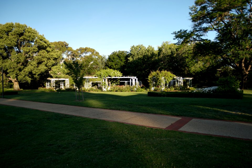 House of Representatives Garden, Parliament House Gardens 019