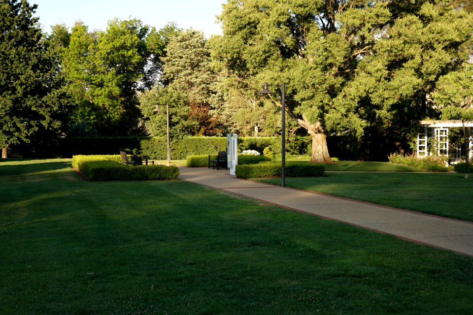 House of Representatives Garden, Parliament House Gardens 020