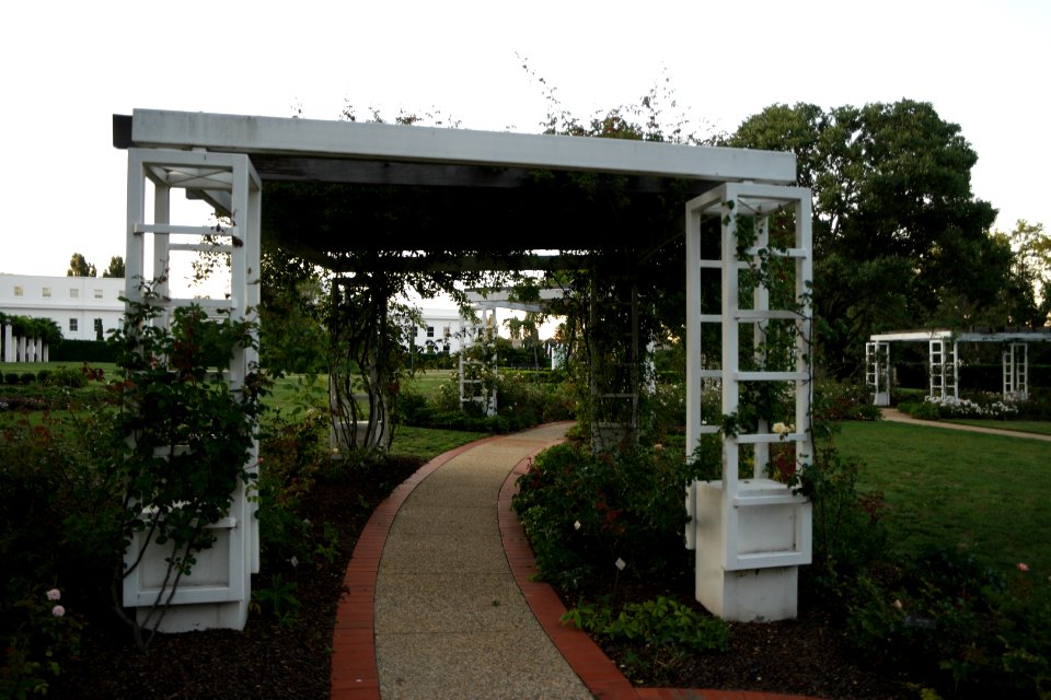 House of Representatives Garden, Parliament House Gardens 036