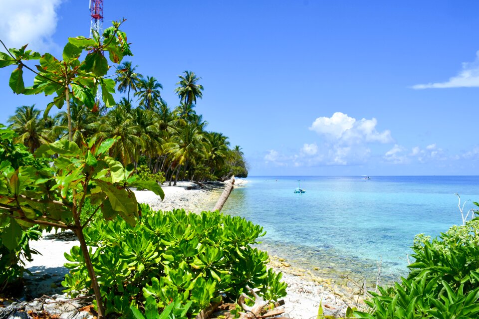 Maldives dharavandhoo baa