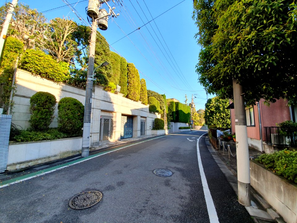 Houses in Denenchofu