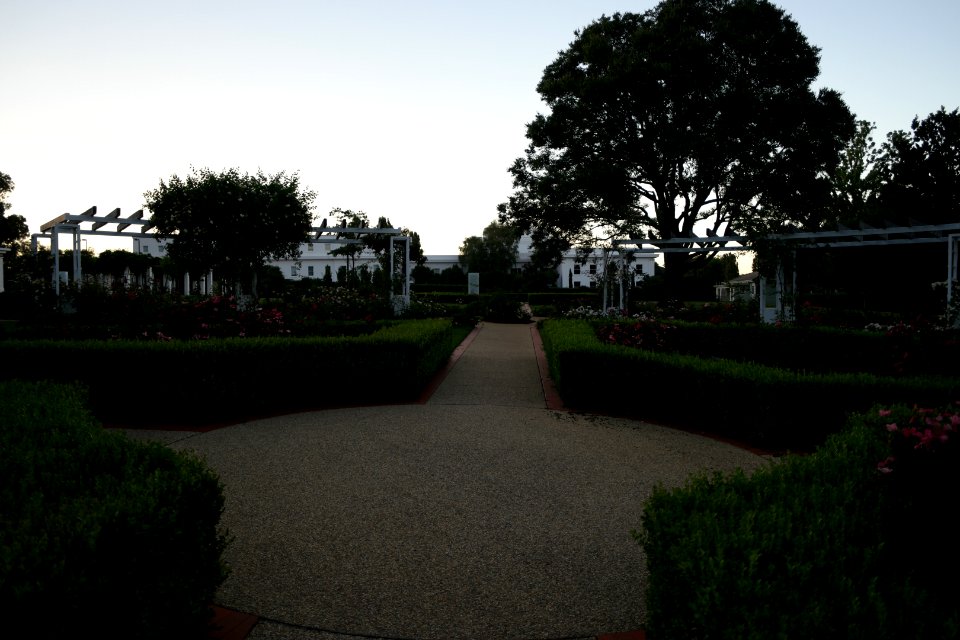 House of Representatives Garden, Parliament House Gardens 038