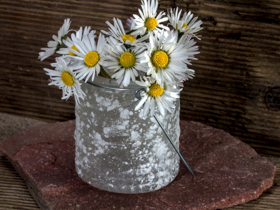 Wild flower wood stone