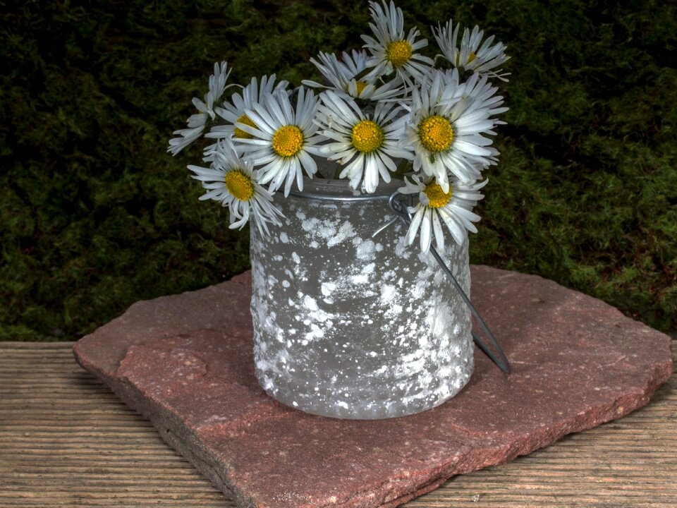 Wild flower stone moss