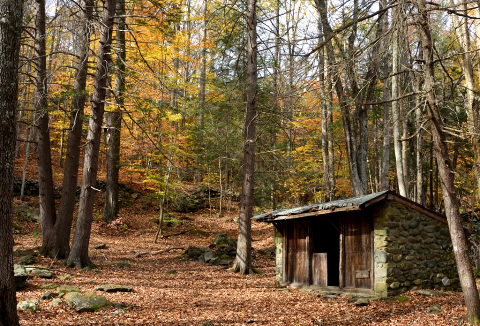 Houseinwoods (234458231)