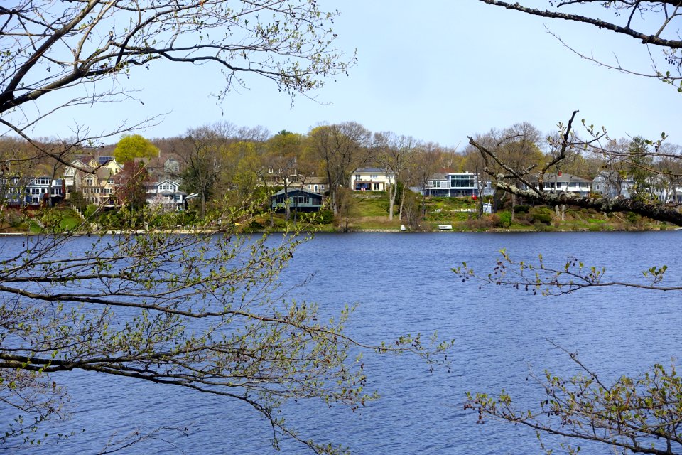 Houses along the Lower Mystic Lake - Arlington, MA - DSC00820