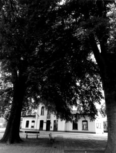 HUA-150806-Gezicht op het N.S.-station Vught te Vught van achter twee bomen