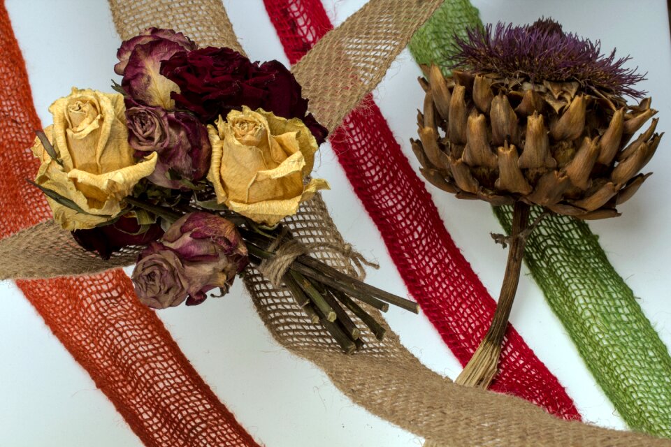 Roses diestel composition