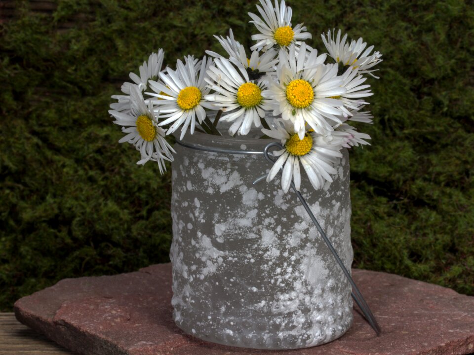 Wild flower stone moss