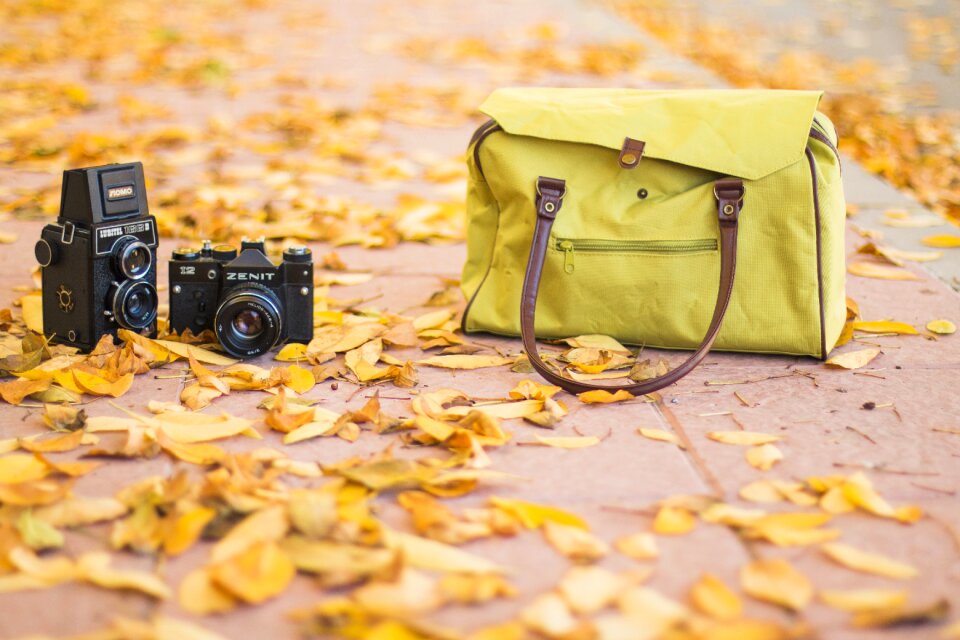 Fall hipster cameras
