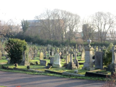 Hove Cemetery, Old Shoreham Road, Hove (December 2016) (13)