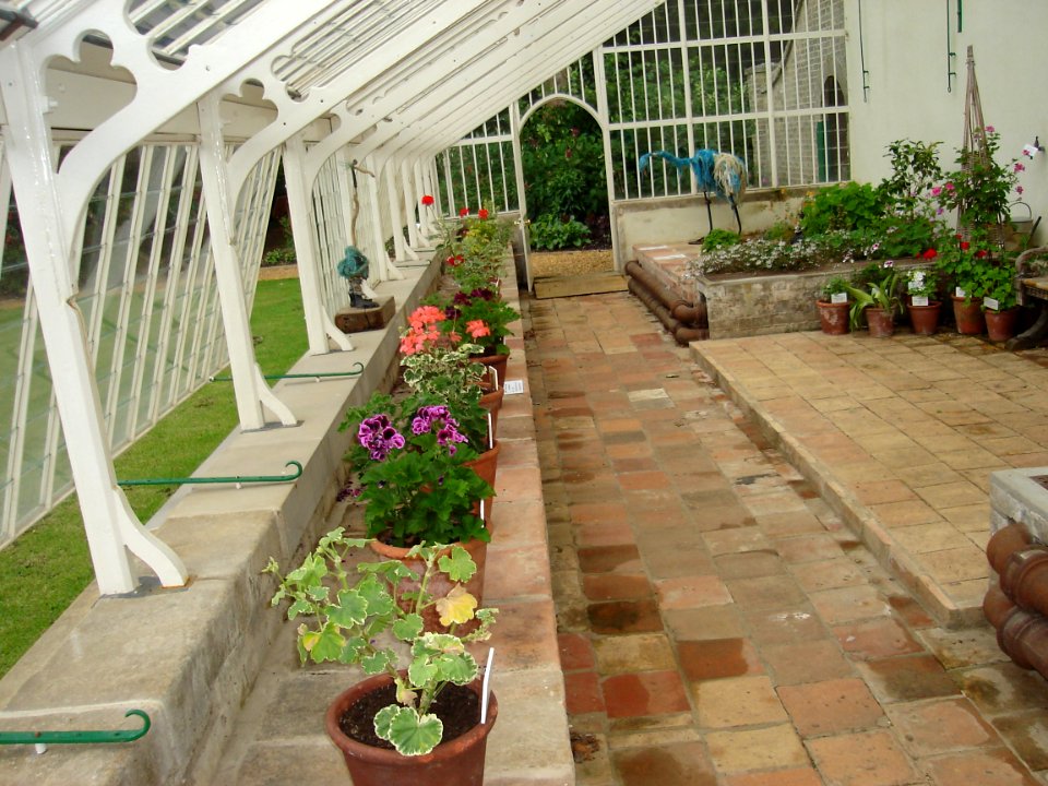 Hoveton Hall Gardens Greenhouse Interior