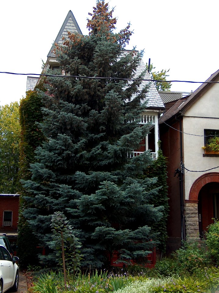 Howland Avenue 52 20171011
