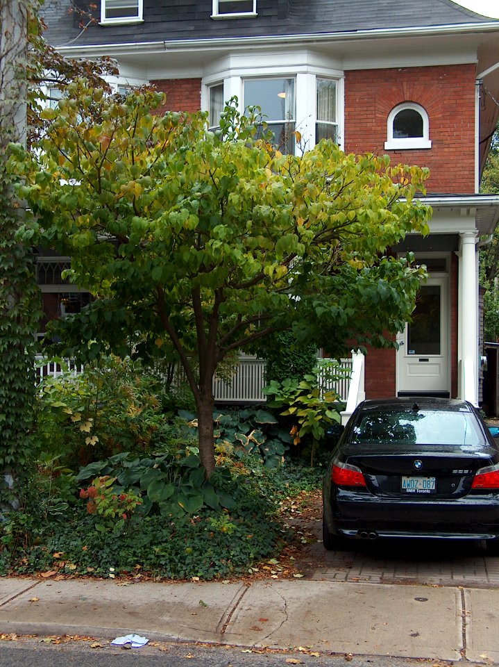 Howland Avenue 70 20171011