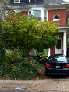 Howland Avenue 70 20171011