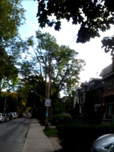 Howland Avenue 198 20171011