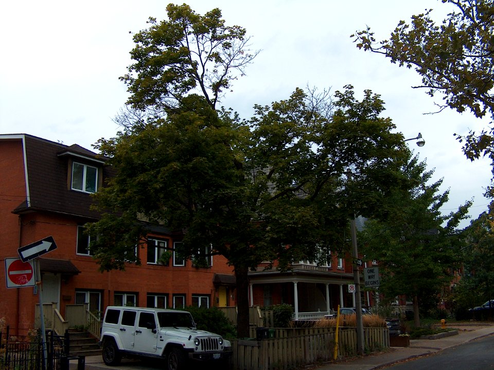 Howland Avenue 16 20171011