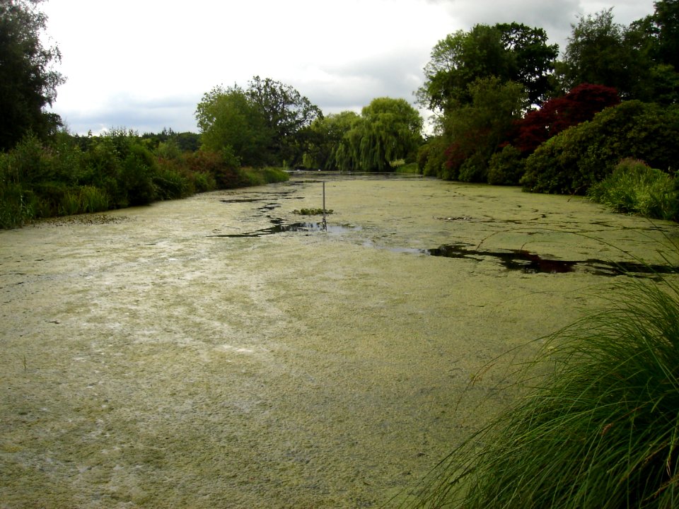Hoveton Hall Gardens Lake